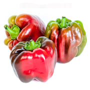Suntan Peppers