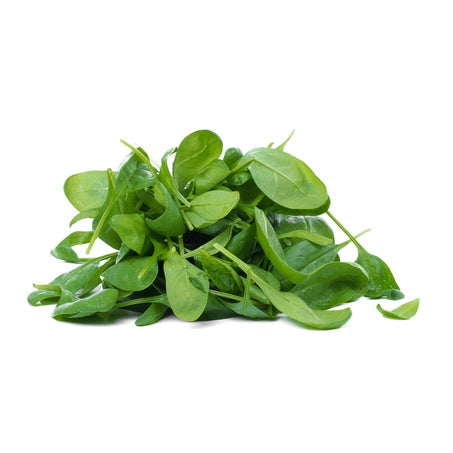 Spinach Leaf Frozen