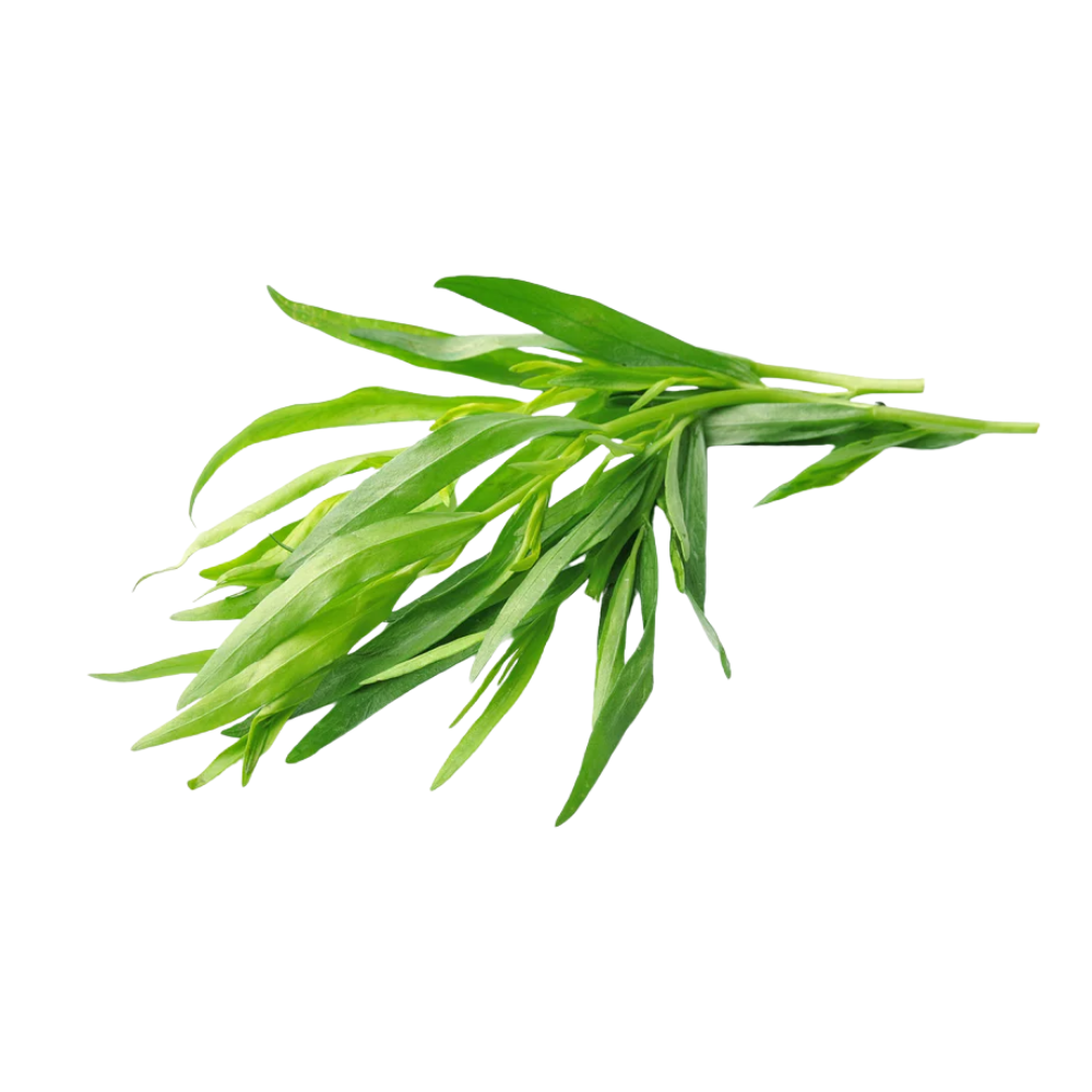Bunched Tarragon 2oz