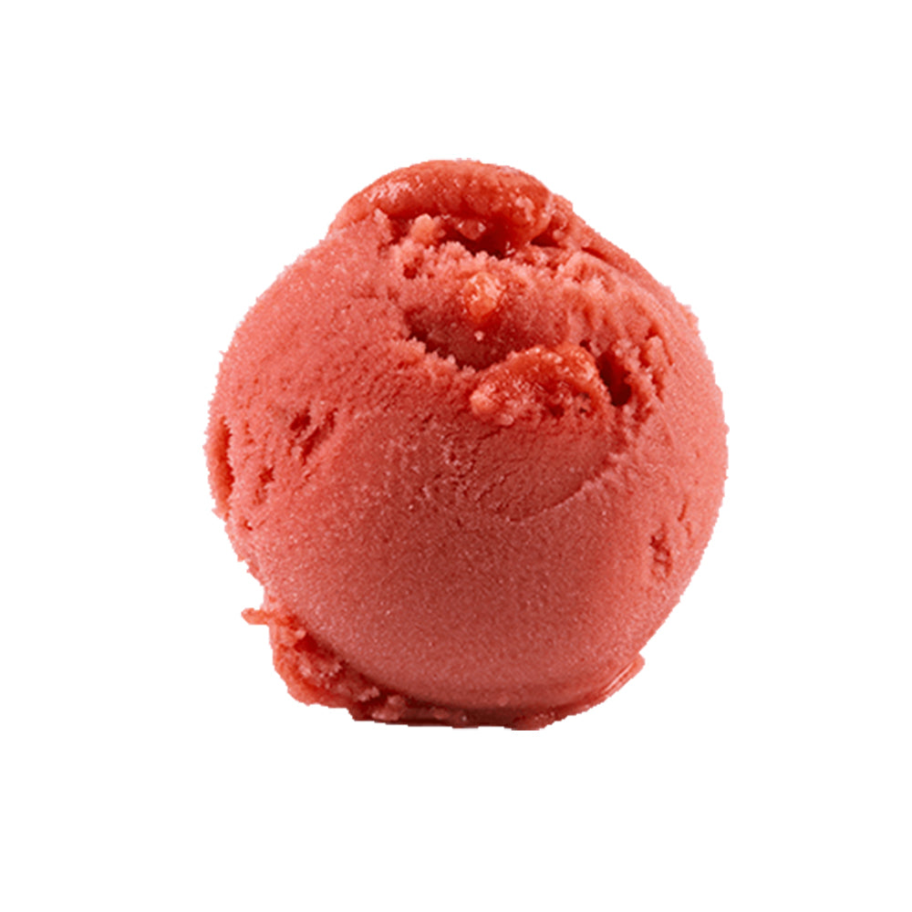 Blood Orange Sorbetto