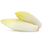 Belgium Endive