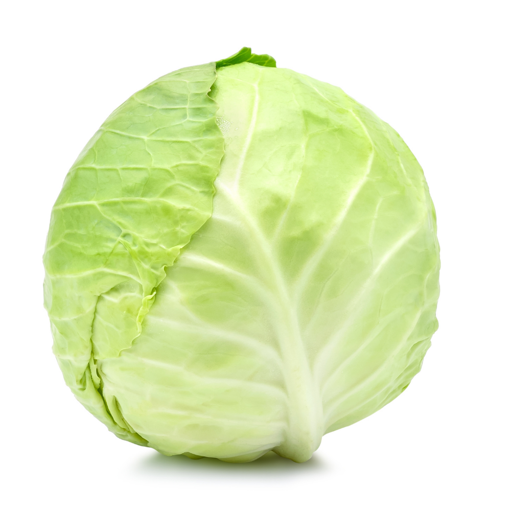 Green Cabbage