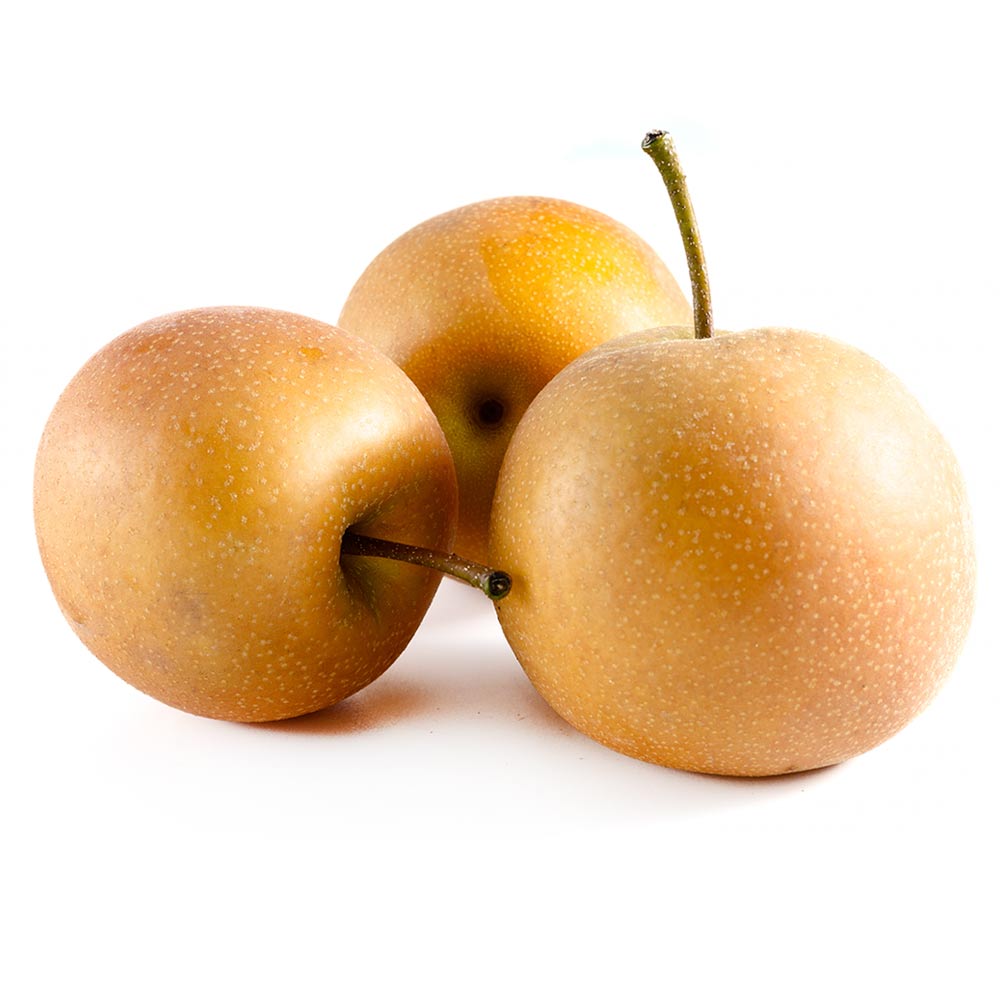Asian Pear