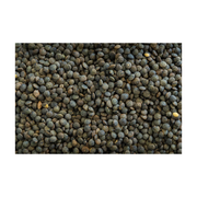French Green Lentil