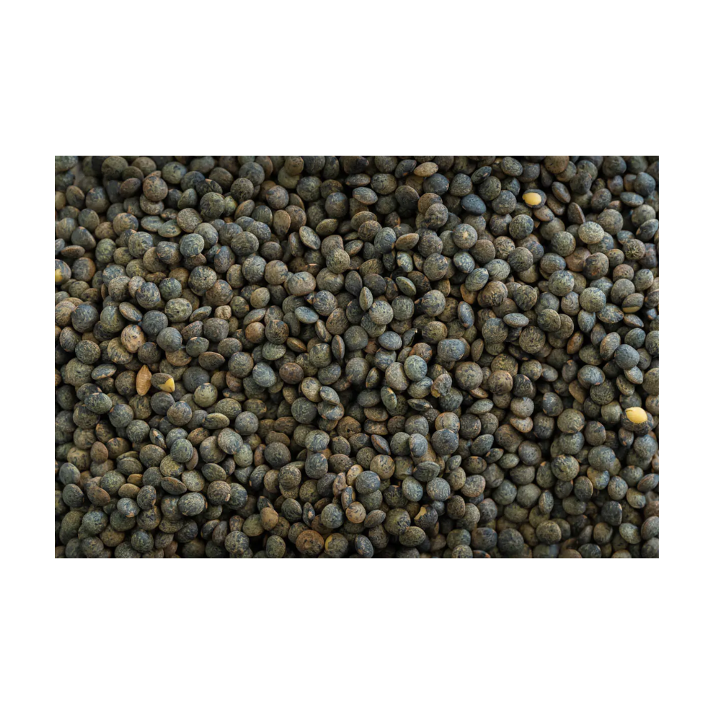 French Green Lentil