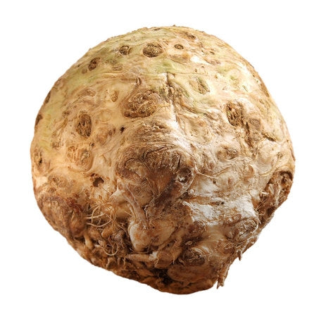 Celery Knob (Root)
