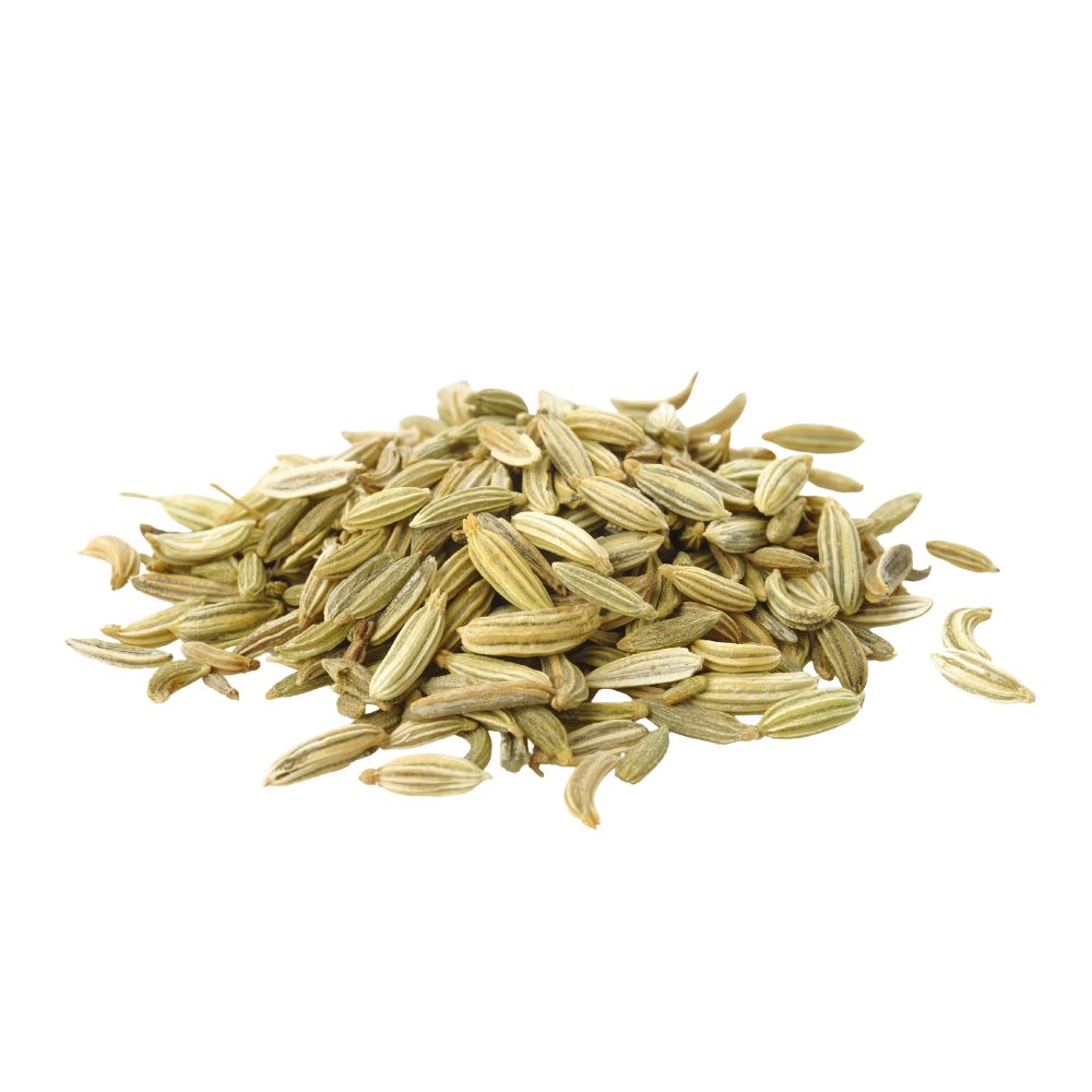 Fennel Seeds Jug Bulk
