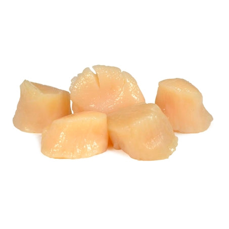 Dry Scallops U/10ct IQF