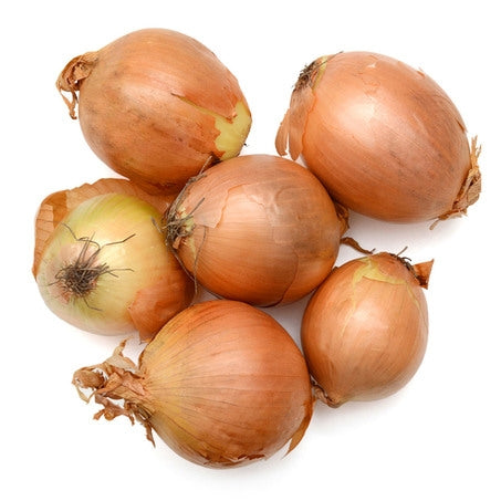 Medium Yellow Onions