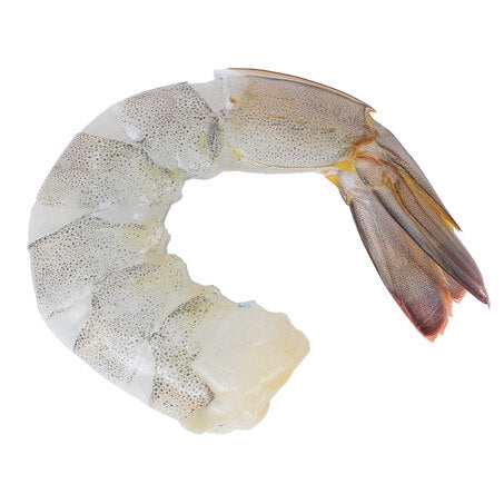 Shrimp 13-15 White Peeled and Deveined Tail On