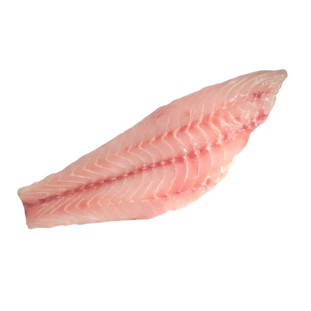 Grouper Fillet Frozen