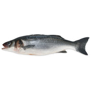 600/800G S&G Farmed Whole Branzino
