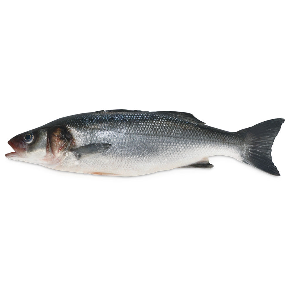 400/600G Fresh Whole S&G Branzino