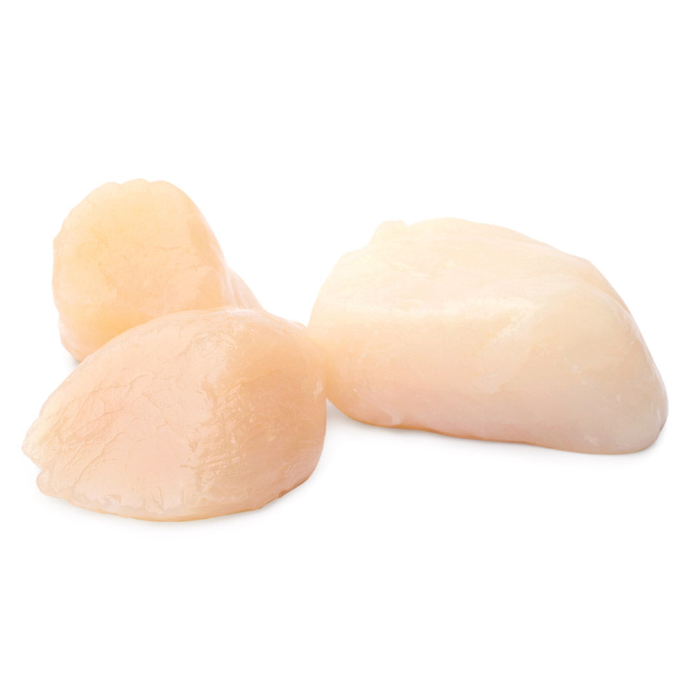 Domestic Wild Dry Sea Scallops 10/20 USA