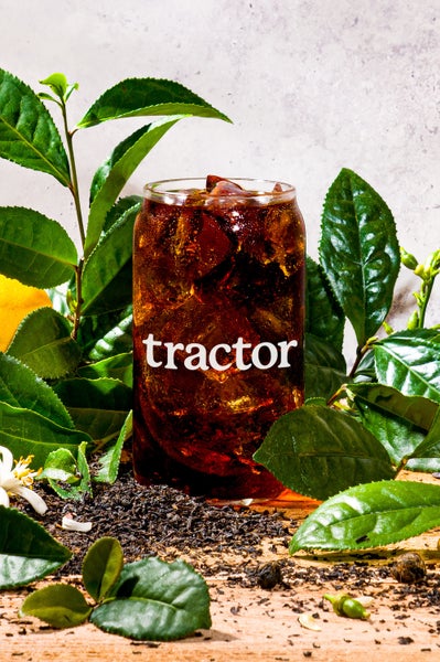 Black Tea Concentrate Organic