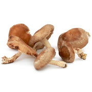 Shiitake Mushroom (A)