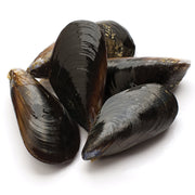 PEI Live Mussels