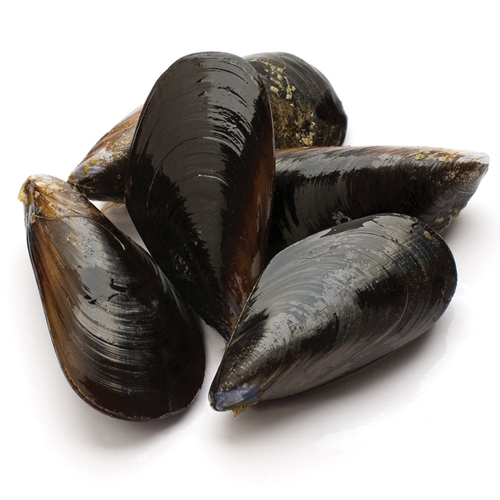 Canadian Farmed PEI Mussels