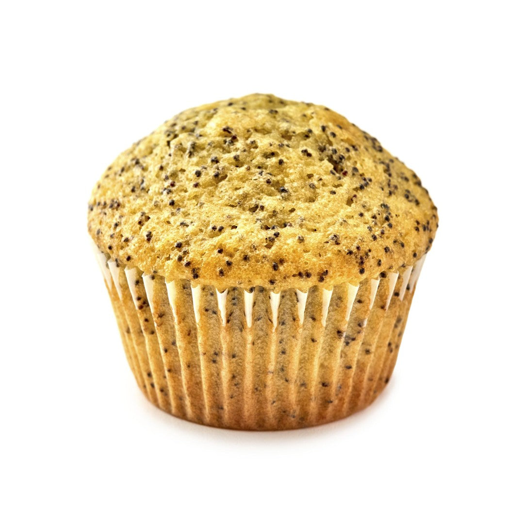 Muffin Batter Lemon Poppy Seed Frozen Pail