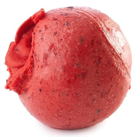Fruits Of The Forest Sorbetto