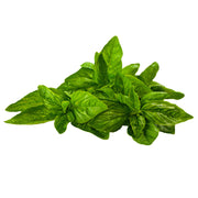 Fresh Basil