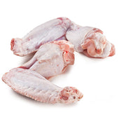 Turkey Wing