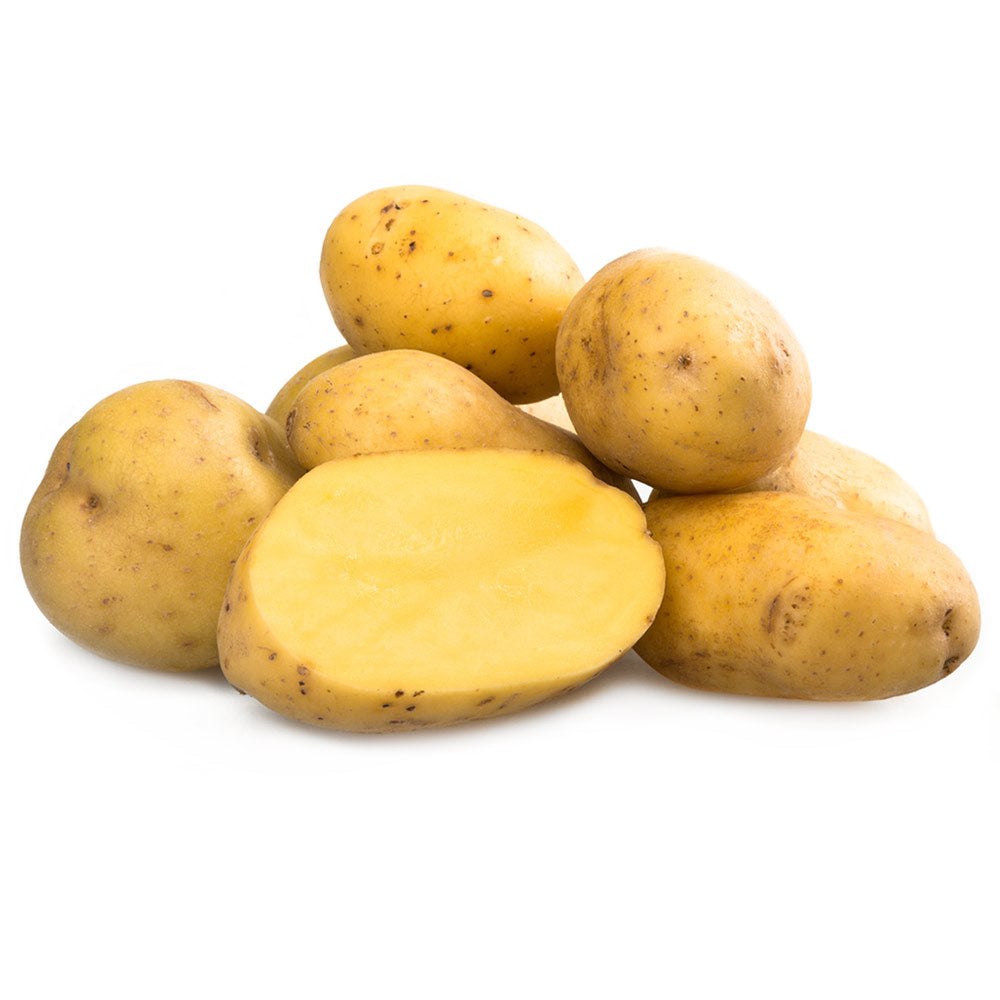 Organic Yukon Gold Potato