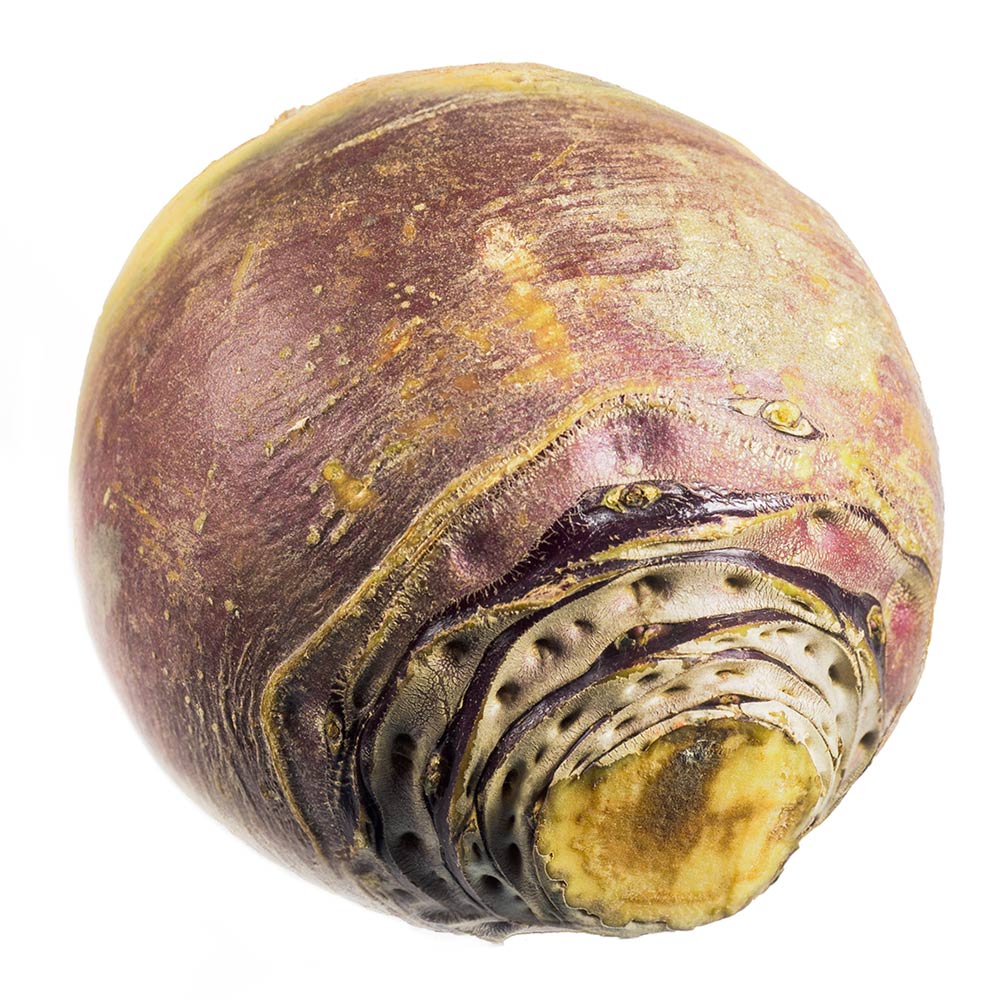 Yellow Turnip (Rutabaga)