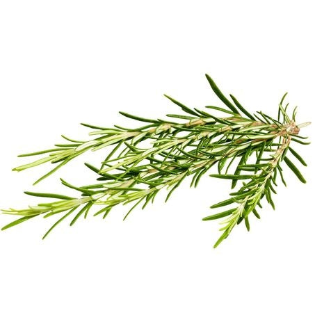 Rosemary