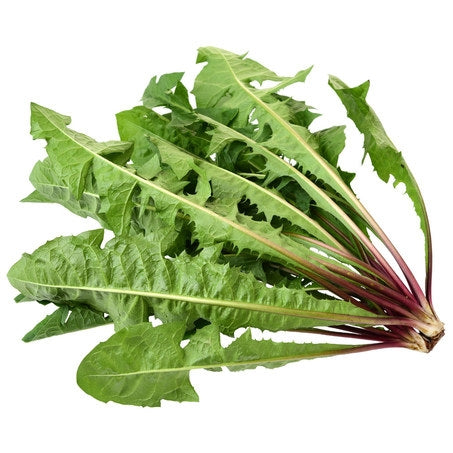 Green Dandelions