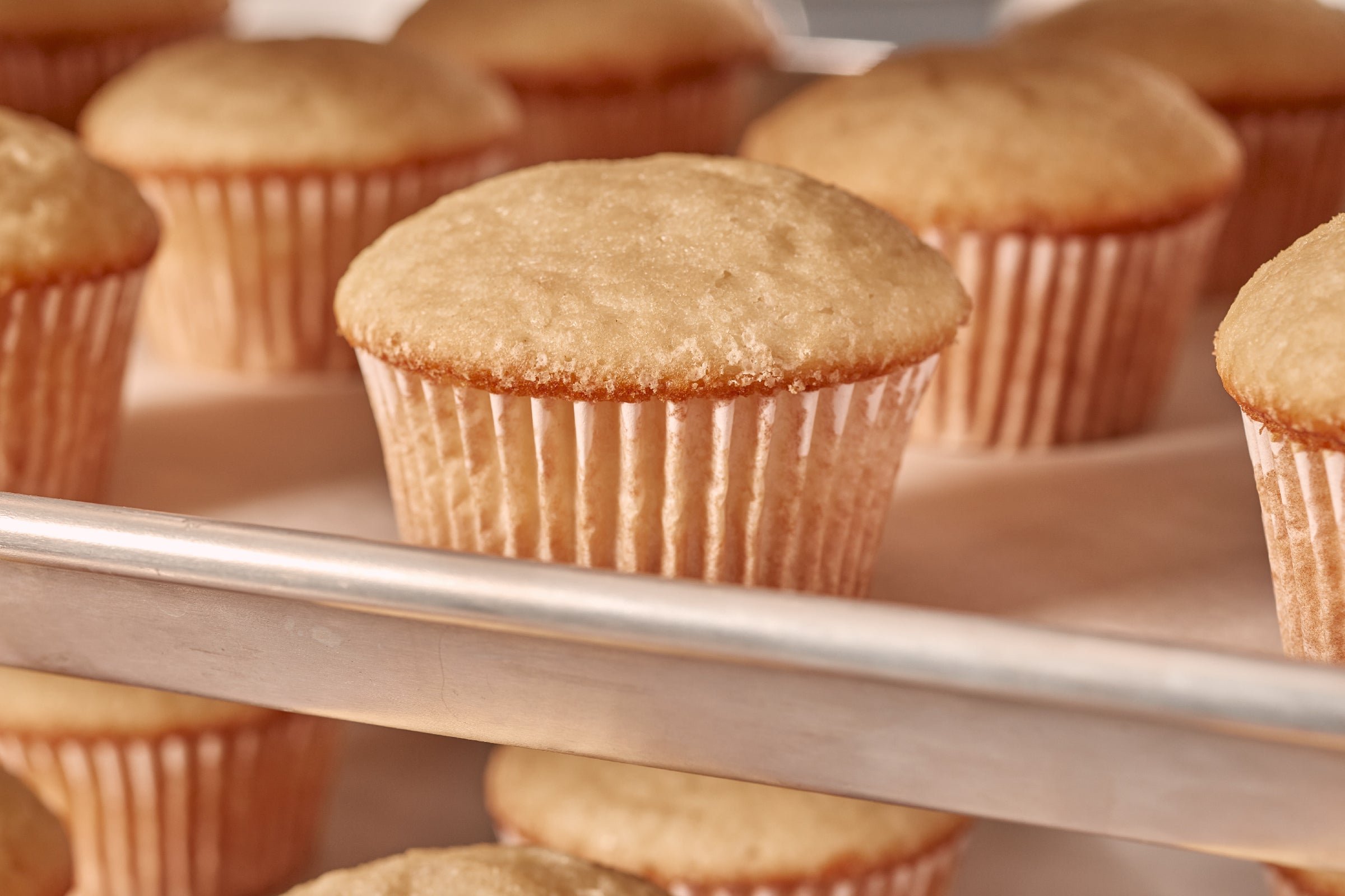 5lb Plain Muffin Mix