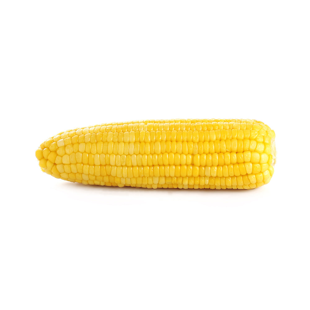 5.5in Frozen Corn Cob