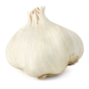 Elephant Garlic