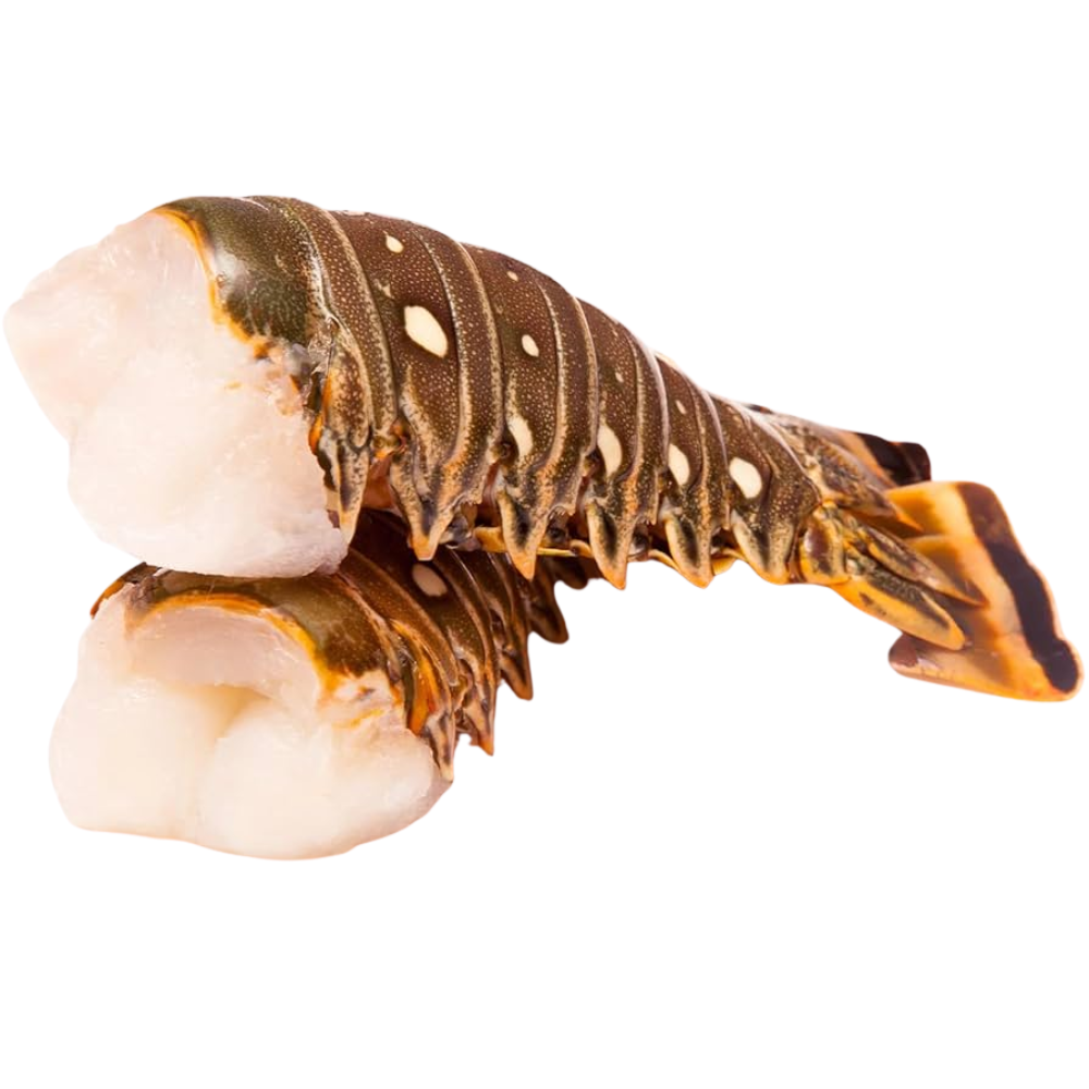 7oz Warm Lobster Tails
