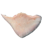 Fresh Skate Wing With Bone In