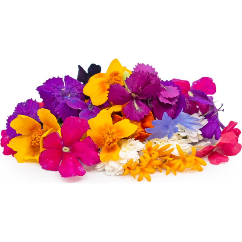 Micro Flower Blend