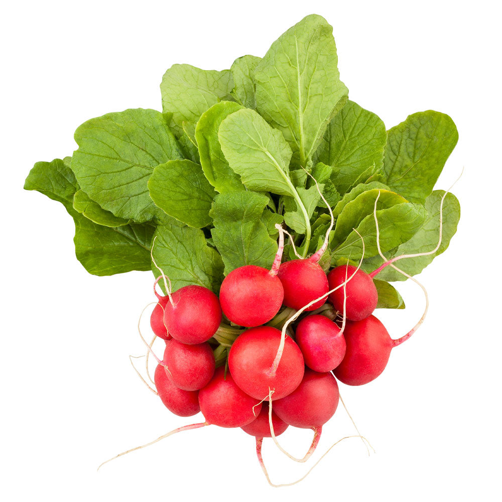 Bunched Radish