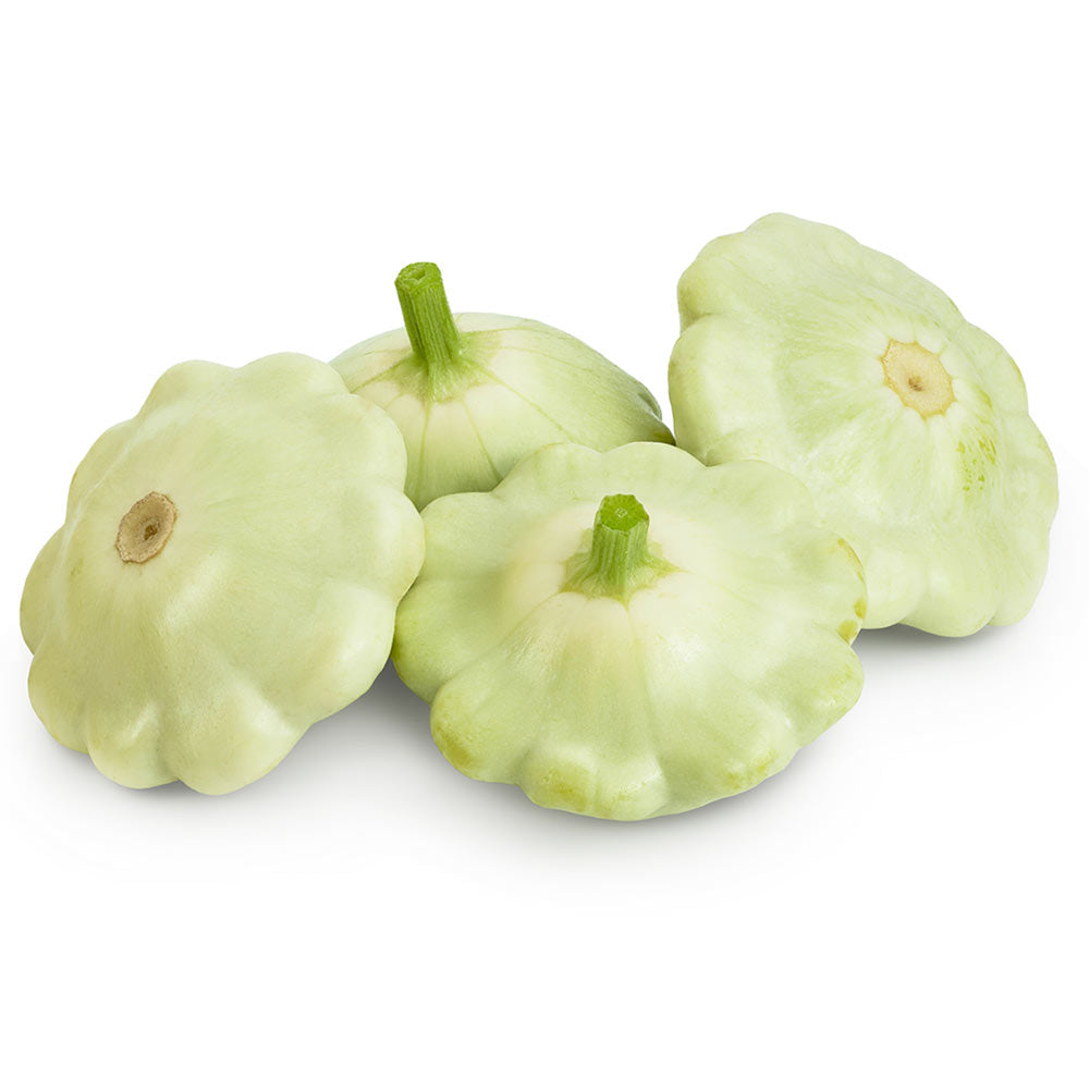 Patty Pan Green Squash