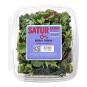 CEASAR SALAD KIT FRESH EXPRESS