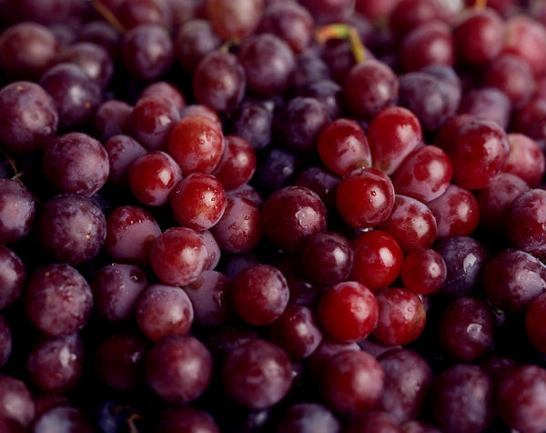 Grape Jelly #10 Can