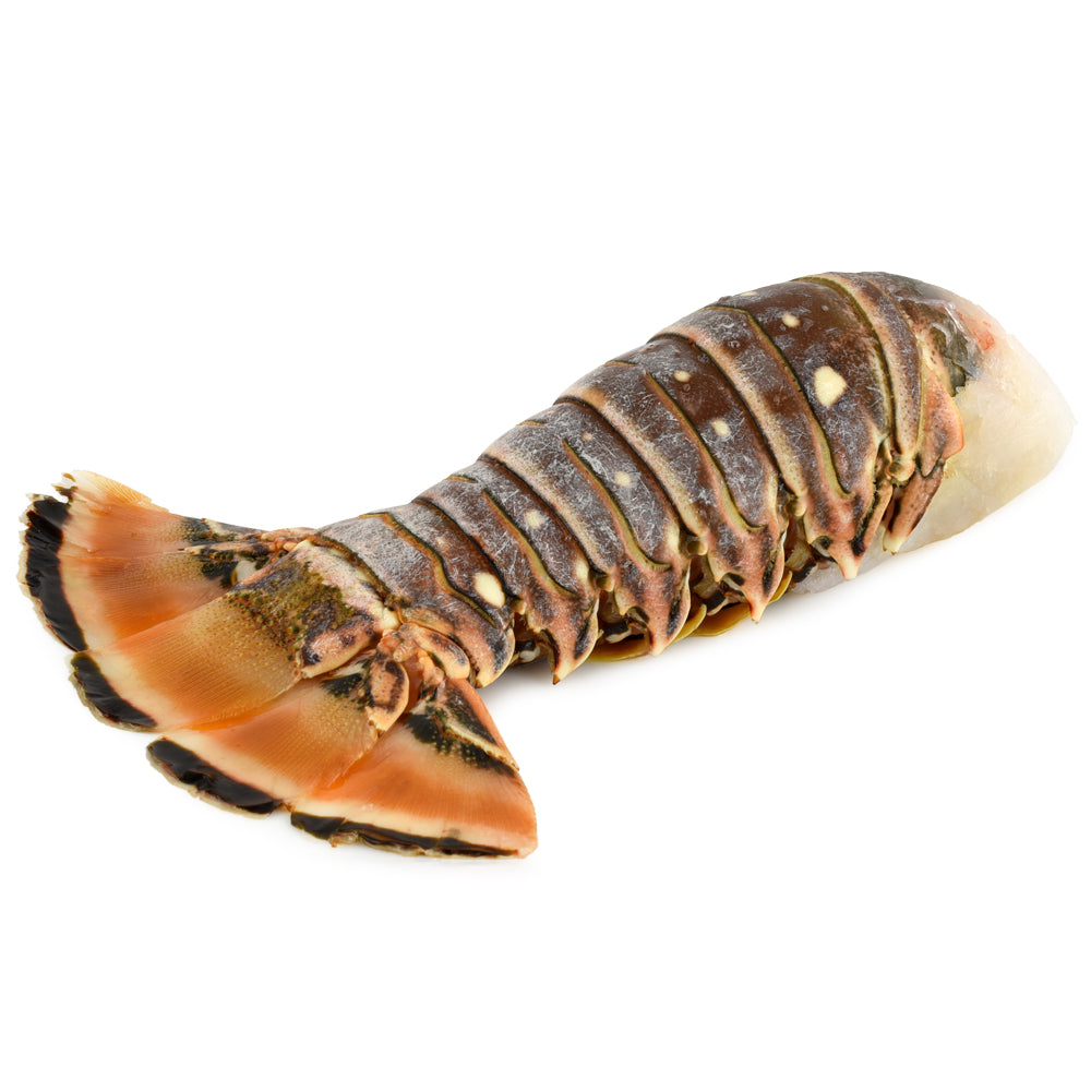 7oz Warm Water Lobster Tail