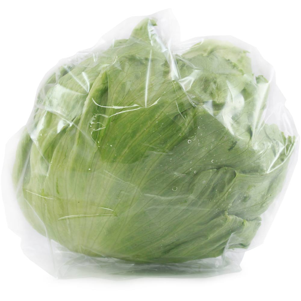Cello Iceberg Lettuce