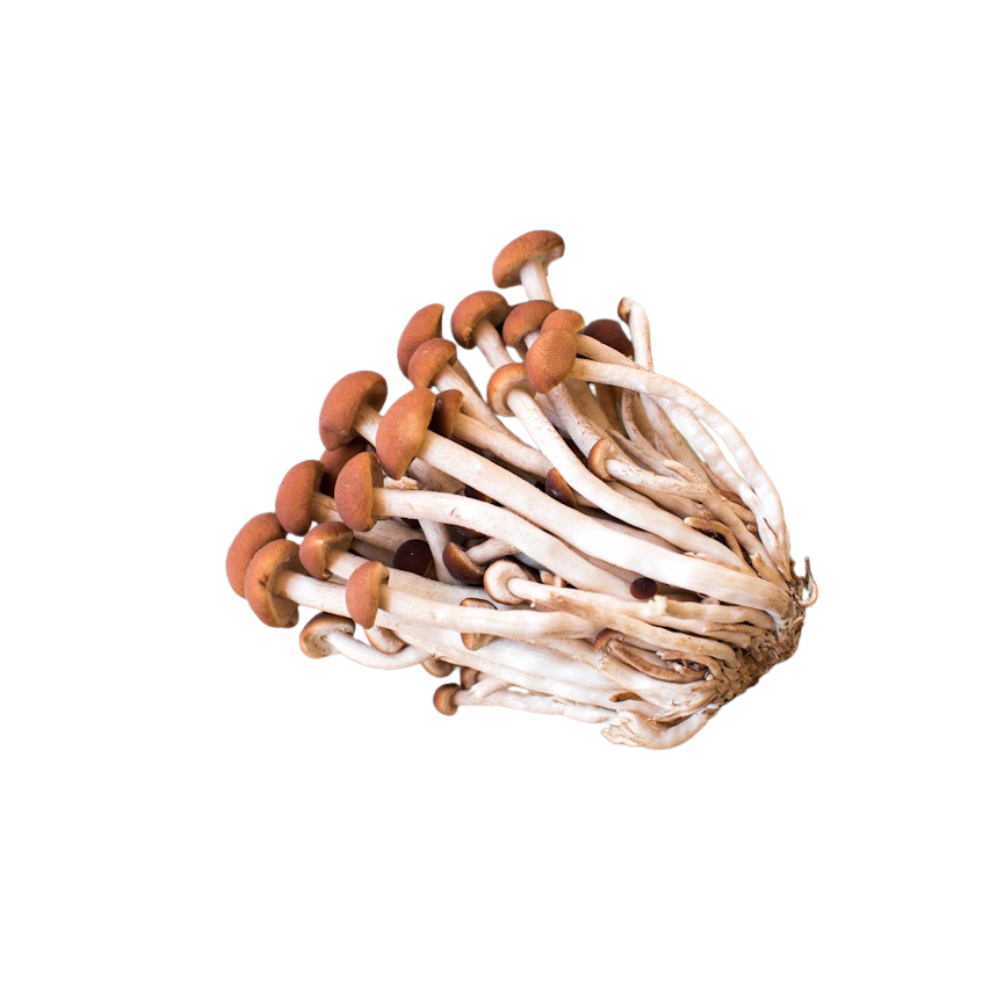 Organic Pioppini Mushrooms