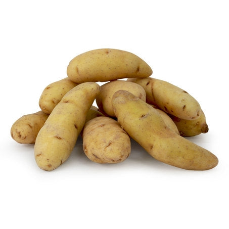 Russian Banana Fingerling Potato
