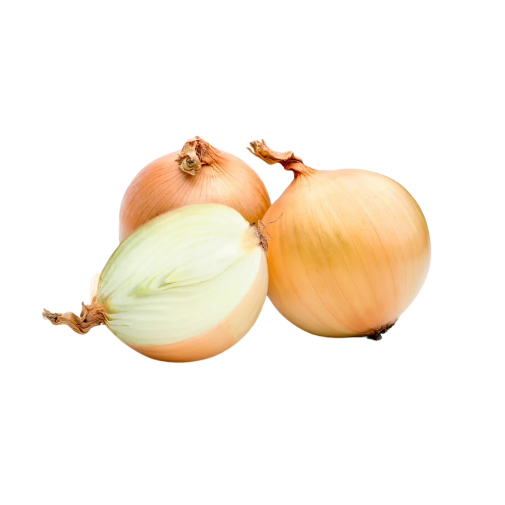 Spanish Onion