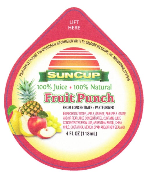 Fruit Punch Frozen 4oz Cup