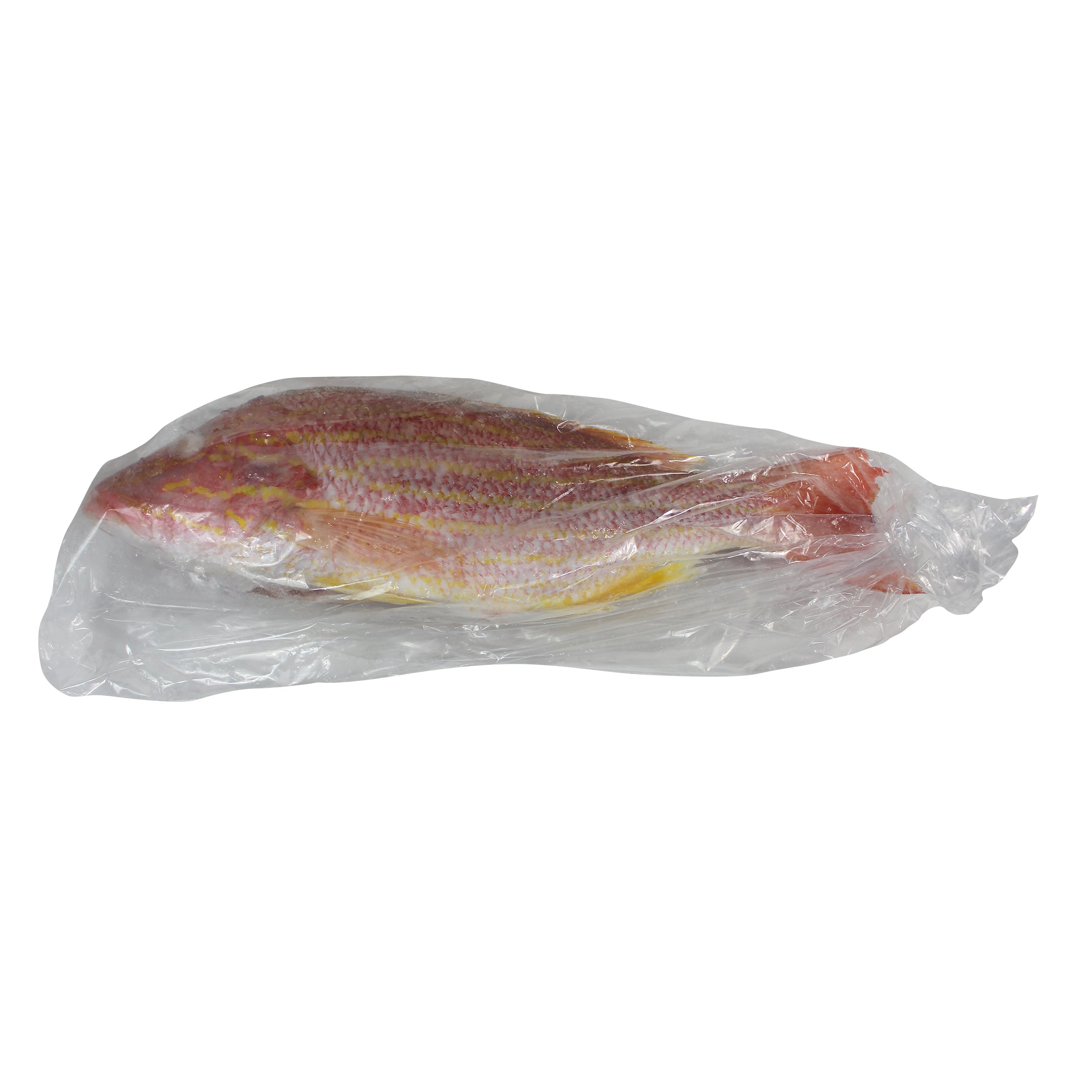 Red Lane Snapper