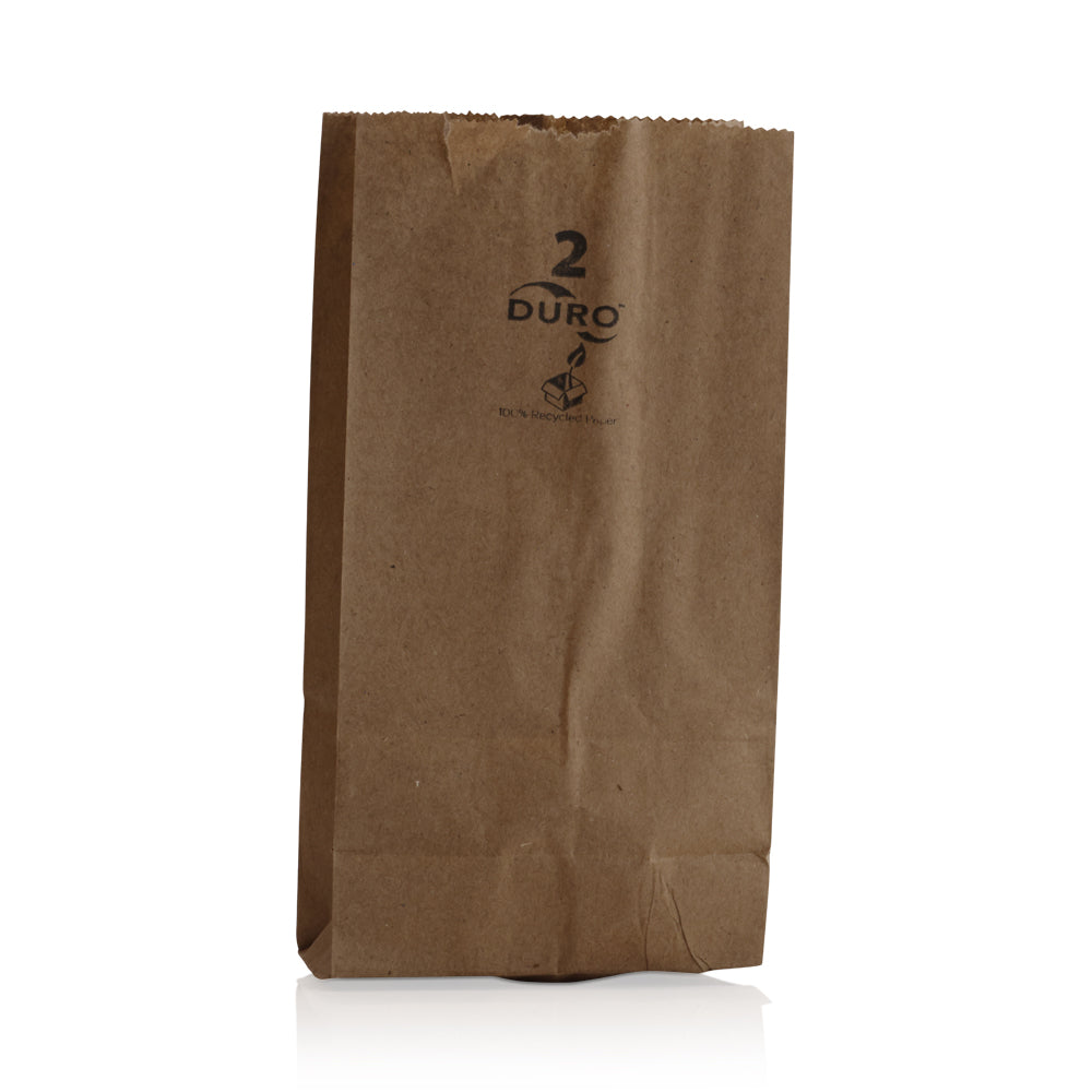 Brown Paper Bag #2