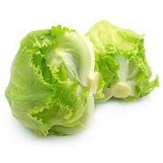 Baby Iceberg Lettuce