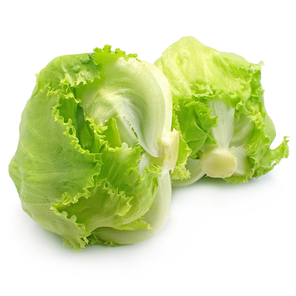 Baby Iceberg Lettuce